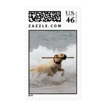 Labrador - Yellow - Go Fetch! Postage Stamps