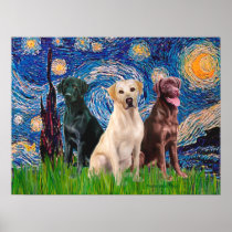 Labradors (3) - Starry Night Print