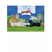 Labradors in the garden