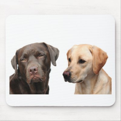 labradors mouse mats by cenorman