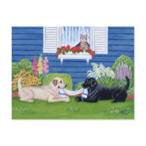 Labradors playing in the garden postcards