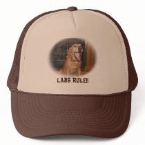 Labs Rule Hat by LuraDee Labs Rule Hat