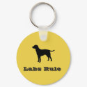 Labs Rule Keychain 1