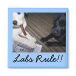 , Labs Rule!! magnets