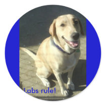 Labs rule! stickers by aimwolf Labs rule! stickers