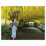 Laburnum arch, Bodnant Garden from the Forest flyers