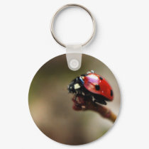 LABYBIRD keychains