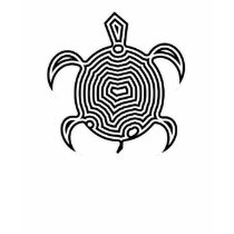 Labyrinth Turtle