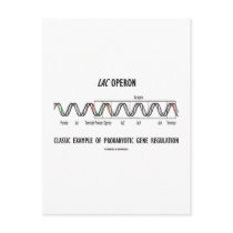 Lac Operon Classic Example Prokaryotic Gene Reg Post Card