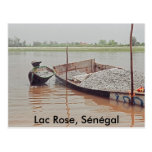 Lac Rose, Sénégal Postcard
