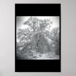 lace posters