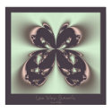 Lace Wings Butterfly posters