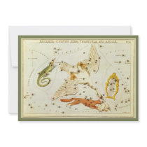 Lacerta, Cycnus, Lyra, Vulpecula and Anser invitations