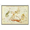 Lacerta, Cycnus, Lyra, Vulpecula and Anser posters by YesterdayCafe Lacerta, Cycnus, Lyra, Vulpecula and Anser posters