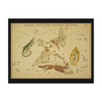 Lacerta, Cygnus, Lyra, Vulpecula and Anser postcards
