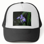 LaChrista blue iris in brook Mesh Hat