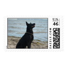 Lacquer Black German Shepherd Postage