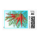 Lacy Carrots custom postage (Med) postage