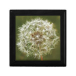 Lacy Dandelion gift boxes
