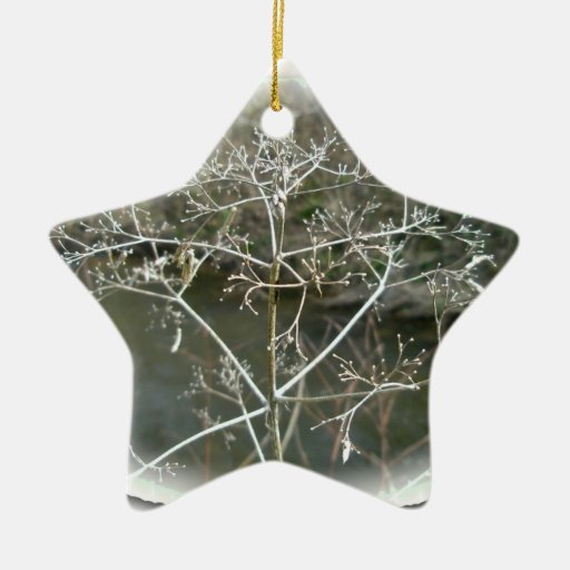 lacy weed christmas ornament zazzle lacy weed christmas ornament zazzle
