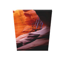 Ladder in Antelope Canvas 13-21 Canvas Prints