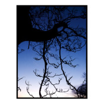 Ladder to the Moon posters by MoiraAshleigh Ladder to the Moon posters