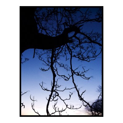 Ladder to the Moon Print by MoiraAshleigh