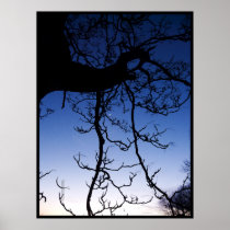 Ladder to the Moon Print