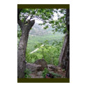 Ladder Trail Acadia posters