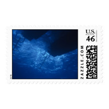 ladders postage