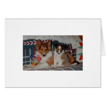 Laddie Boy & Bonnie Girl Posing Greeting Cards