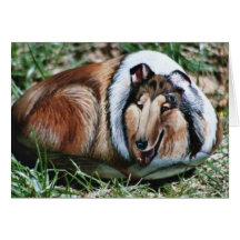 "Laddie" dog rock card