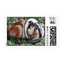 "Laddie" dog rock stamp