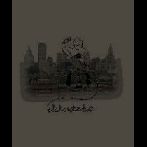 Ladies Basic T-Shirt by elaborateent Ladies Basic T-Shirt