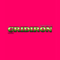 Ladies Basic T-Shirt by womensgridiron Ladies Basic T-Shirt