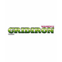 Ladies Basic T-Shirt by womensgridiron Ladies Basic T-Shirt