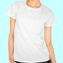 Ladies Basic T-Shirt Template t-shirts
