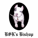 Ladies BSK Shirt