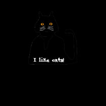Ladies Casual Scoop Cat T-Shirt