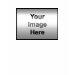 Ladies Baby Doll (Fitted)