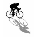 Ladies Cycling tops t-shirts