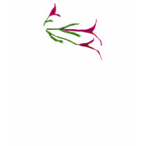 Ladie's Fitted Camasole t-shirts by MarciaCox Ladie's Fitted Camasole t-shirts
