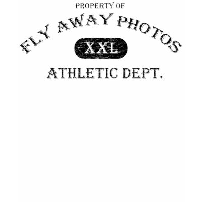Ladies Fitted Tank Top by FlyAwayPhotos