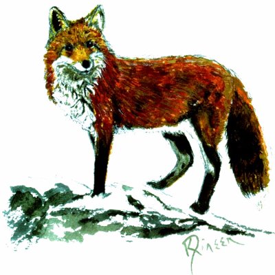 Ladies Fox Tank Top by Critterpainter
