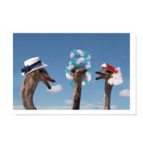 Ladies Hat Day at the Races poster posters by gravityx9 Ladies Hat Day at the Races poster posters