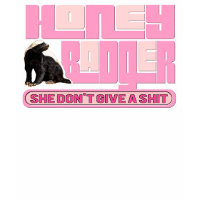 Ladies Honey Badger Tshirt. SHE Don't Give a Shit shirt