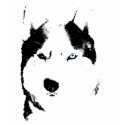 Ladies Husky T-shirt Wolf Husky Sled Dog Shirt