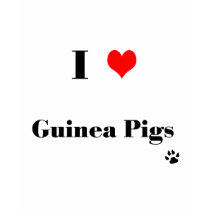 Ladies I Love Guinea Pigs T Shirt