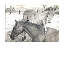 Ladies Mare and Foal T-Shirt by kmullarney Ladies Mare and Foal T-Shirt