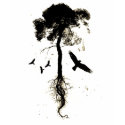 Ladies Murdering Crows shirt by outofexile Ladies Murdering Crows shirt